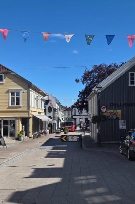 Lenke til artikkel: Bli med og evaluer Folkets sommergater