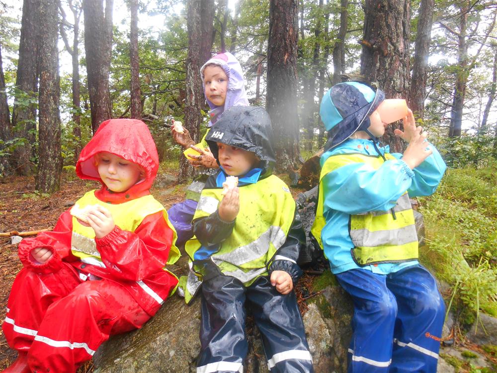 Barnehagen på tur i skogen - Eide barnehage - Klikk for stort bilde