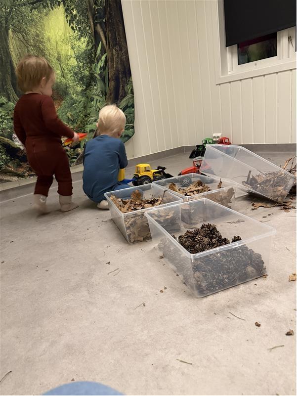 Ryggen på to barn som leker med lastebiler og kasser med materiell fra naturen som kongler og blader - Klikk for stort bilde