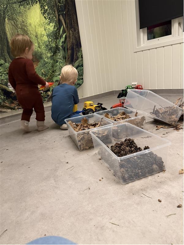 Ryggen på to barn som leker med lastebiler og kasser med materiell fra naturen som kongler og blader - Klikk for stort bilde