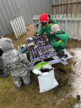 Tre barn holder på å så - Klikk for stort bilde