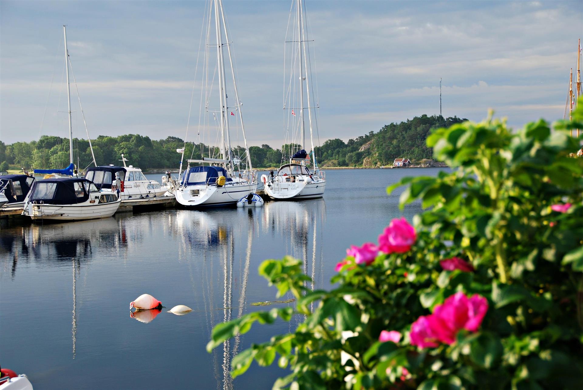 Grimstad havn en tidlig morgen om sommeren