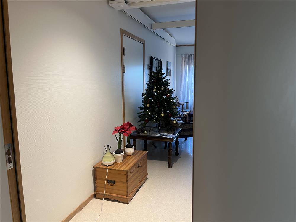Juletre oppå et bord og et lite bord med juleblomster og pynt - Klikk for stort bilde