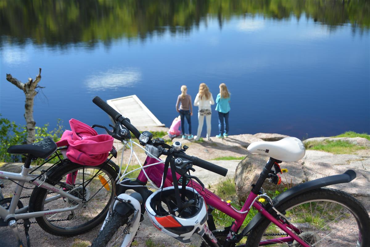 Hauslandstjenna - Klikk for stort bilde